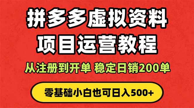拼多多开店运营课程： 蓝海变现玩法，轻松实现睡后收入 零基础小白也可…-数智网创