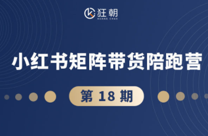 盗坤·抖音小红书视频号短视频带货与直播变现(11-18期)-数智网创