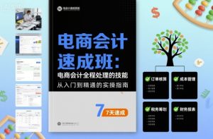 电商会计速成班，电商会计全程处理的技能-数智网创