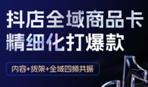 金戈·抖店爆单陪跑课-抖音小店爆单陪跑(更新10月)-数智网创