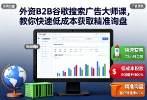 外资B2B谷歌搜索广告大师课,教你快速低成本获取精准询盘-数智网创