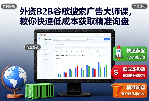 外资B2B谷歌搜索广告大师课,教你快速低成本获取精准询盘-数智网创