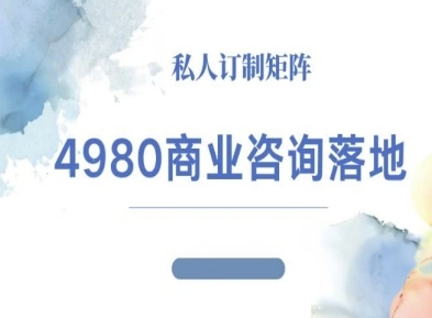 4980商业咨询师落地课程-ip运营高客单教程-数智网创