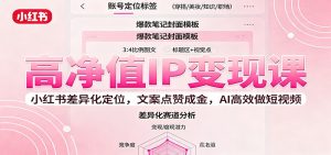 高净值IP变现课：小红书差异化定位，文案点赞成金， AI高效做短视频-数智网创