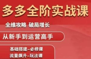 大炮·拼多多全阶实战课程(更新10月)-数智网创