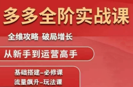 大炮·拼多多全阶实战课程(更新10月)-数智网创