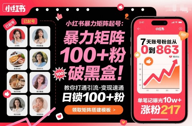 小红书暴力矩阵起号，教你打通引流-变现速通，日锁100+粉，破流量黑盒-数智网创