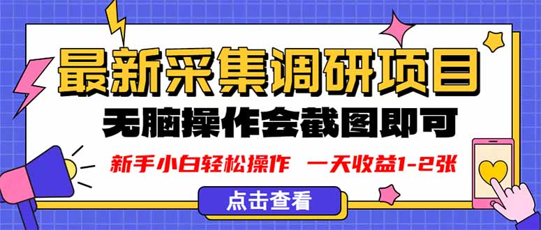 新版采集调研项目，截图上传即可，无脑操作，日收益1-2张-数智网创