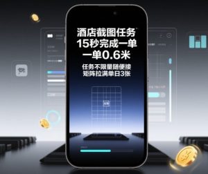 酒店截图任务，15秒完成一单，一单0.6米，任务不限量随便接，矩阵拉满单日3张【揭秘】-数智网创