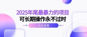 2025年尾最暴力的项目可长期操作永不过时-数智网创