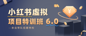 小红书虚拟项目特训班6.0 ,养号/选品/自动发货/爆款笔记(含40节视频课)-数智网创