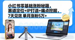 小红书零基础涨粉秘籍，赛道定位+IP打造+痛点挖掘，7天见效 单月涨粉5万+-数智网创