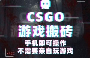 CSGO游戏挂G捡漏,单日扫货5张+,年底小高峰上车可吃肉,手机即可操作,兼职副业创业网创【揭秘】-数智网创