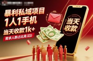 暴利私域项目1人1手机,当天收款1k+,需求人群占比高,当天就能见到钱-数智网创