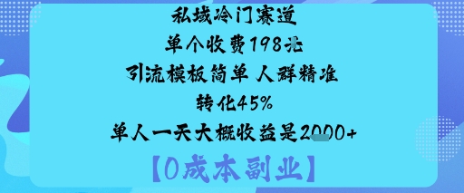 私域冷门赛道:单个收费198米引流模板简单人群精准转化45%单人一天大概收益是1k+-数智网创