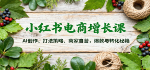 小红书电商增长课：AI创作、打法策略、商家自营，爆款与转化秘籍-数智网创