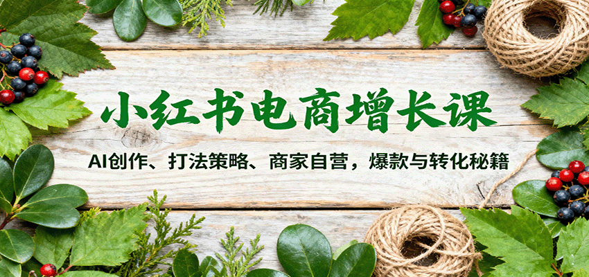 小红书电商增长课：AI创作、打法策略、商家自营，爆款与转化秘籍-数智网创