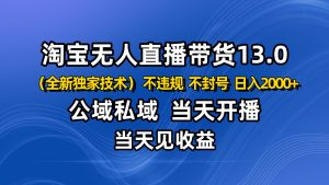 淘宝无人直播13.0，公域私域技术，不封号，不违规 布局下半年旺季赛道，日入2000+-数智网创