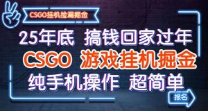 25年底搞钱回家过年,CSGO游戏挂机掘金,纯手机操作超简单-数智网创