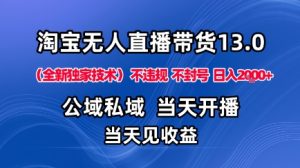 淘宝无人直播13.0，公域私域技术，不封号，不违规布局下半年旺季赛道，日入1K+(独家技术)【揭秘】-数智网创