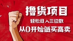 手把手教你撸货,从0开始低买高卖,小白轻松实现日入三位数!!!-数智网创