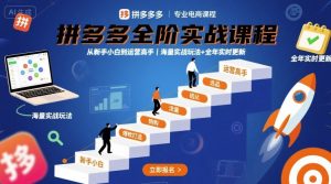 拼多多全阶实战课程，从新手小白到运营高手，海量实战玩法+全年实时更新【2025年10月更新】-数智网创