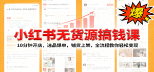 小红书无货源爆单课:10分钟开店,选品爆单,铺货上架,全流程教你轻松变现-数智网创