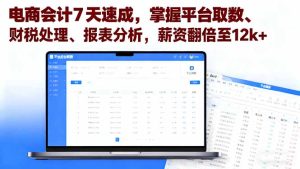 电商会计7天速成,掌握平台取数、财税处理、报表分析,薪资翻倍至12k+-数智网创