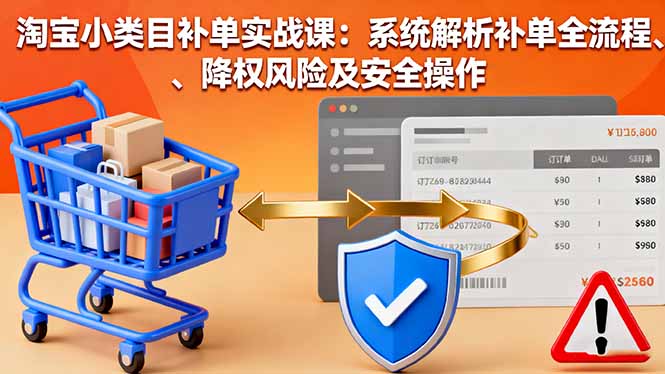 淘宝小类目补单实战课:系统解析补单全流程、降权风险及安全操作-数智网创