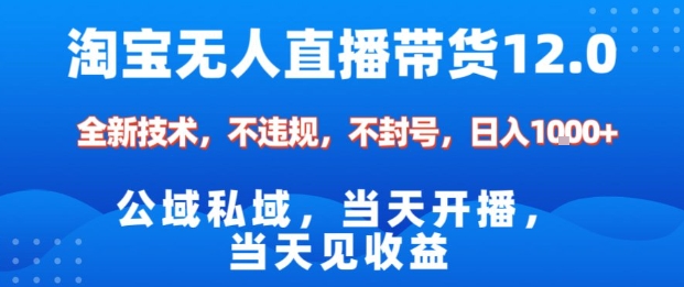 淘宝无人直播12.0,公域私域技术,不封号,不违规布局双十一流量风口,日入1k(独家技术)【揭秘】-数智网创