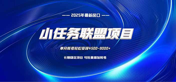 小任务联盟项目:一台电脑每天只需10分钟,轻松简单稳定-数智网创