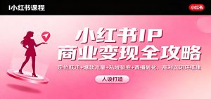 小红书IP商业变现全攻略：定位跃迁+爆款流量+私域裂变+直播转化，高利润闭环搭建-数智网创