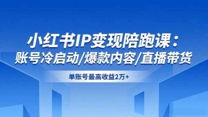 小红书IP变现陪跑课：账号冷启动/爆款内容/直播带货，单账号最高收益2万+-数智网创