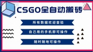 CSGO全自动搬砖,年底钱回家好项目,当天可拿到结果,新手小白轻松月入1W+【揭秘】-数智网创