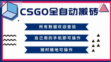 CSGO全自动搬砖,年底钱回家好项目,当天可拿到结果,新手小白轻松月入1W+【揭秘】-数智网创