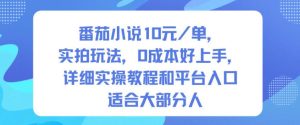 番茄小说10米每单，实拍玩法，0成本好上手，详细实操教程和平台入口适合大部分人-数智网创