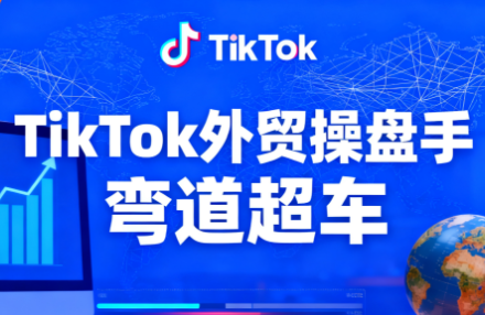 TikTok外贸操盘手(更新11月)-数智网创