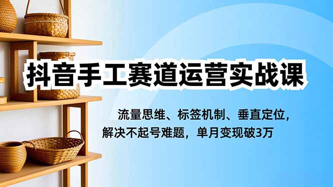抖音手工赛道运营实战课,流量思维、标签机制、垂直定位,解决不起号难题,单月变现破3万-数智网创