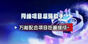 网络项目万能辅助工具_万能配合拉新项目吃遍提成-数智网创