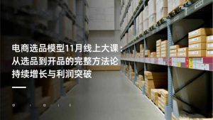 电商选品模型11月线上大课：从选品到开品的完整方法论 持续增长与利润突破-数智网创