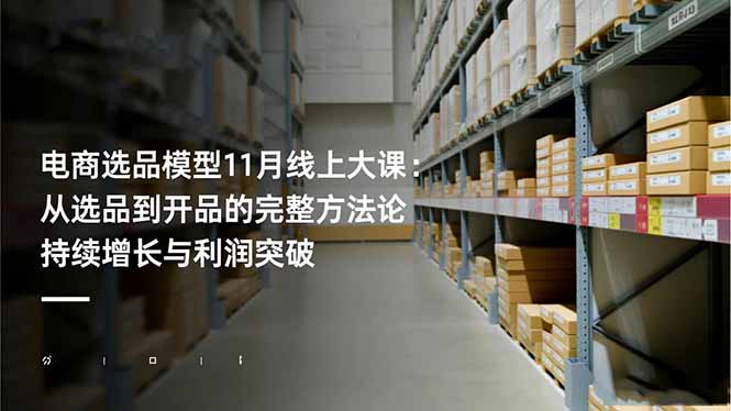 电商选品模型11月线上大课：从选品到开品的完整方法论 持续增长与利润突破-数智网创