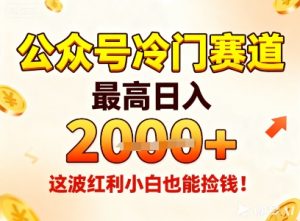 公众号冷门赛道,最高日入1k+,这波红利小白也能捡钱!-数智网创