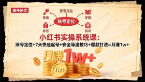 小红书实操系统课：账号定位+7天快速起号+安全导流技巧+爆款打法=月赚1w+-数智网创