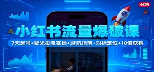 小红书流量爆破课:7天起号+聚光投流实操+避坑指南+对标定位+10倍获客-数智网创