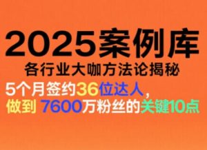 2025案例库,收录各行业大咖的方法论,各行业大咖方法论揭秘-数智网创