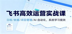 飞书高效运营实战课：日程/数据/项目管理/AI 自动化，系统学习提效-数智网创