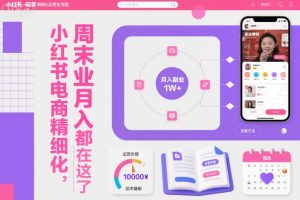 小红书电商精细化运营全流程，周末副业月入1W+，全套方法都在这了-数智网创