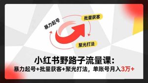 小红书野路子流量课：暴力起号+批量获客+聚光打法，单账号月入3万+-数智网创