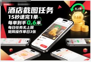 酒店截图任务,15秒速完1单,每单到手0.6米,每日任务无上限,全网首发玩法,矩阵操作单日3张【揭秘】-数智网创