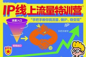 IP线上流量特训营，手把手教你搞流量、做IP、稳变现-数智网创